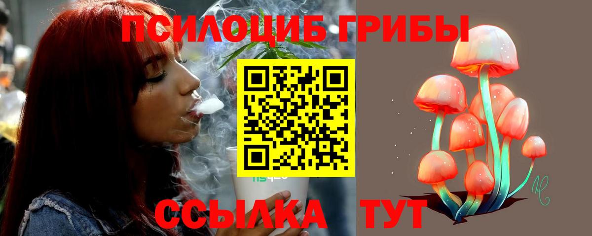 Псилоцибиновые грибы ЛСД  Вход с VPN  Новокузнецк 