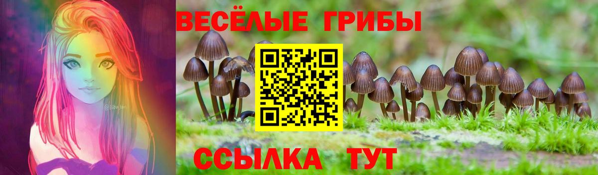 Галлюциногенные грибы мицелий Новокузнецк